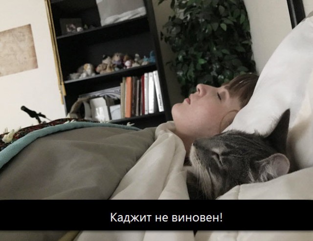 Картинки разные нужны, картинки всякие важны