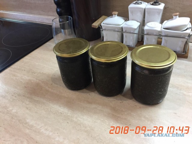 Что не так на этой фотографии? Грубые ошибки начинающих