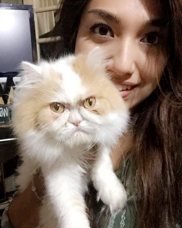 Забавные фото котеек