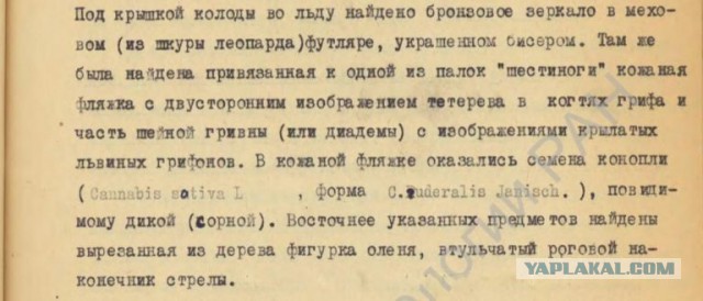 Уральский ученый «набил» себе татуировку вождя из Пазырыкского кургана