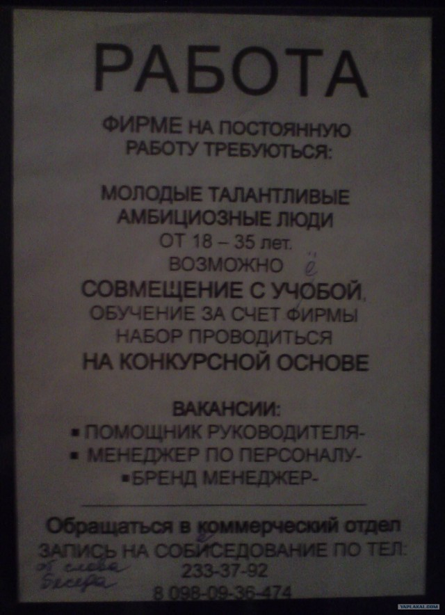 Как вам знание русского языка?