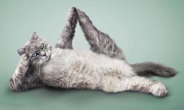 Растяжка (которая гибкость)