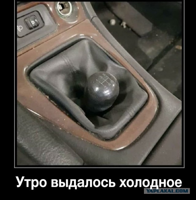 Пляж Бонди закрыт после того, как тысячи слабоумных любителей солнца проигнорировали запрет