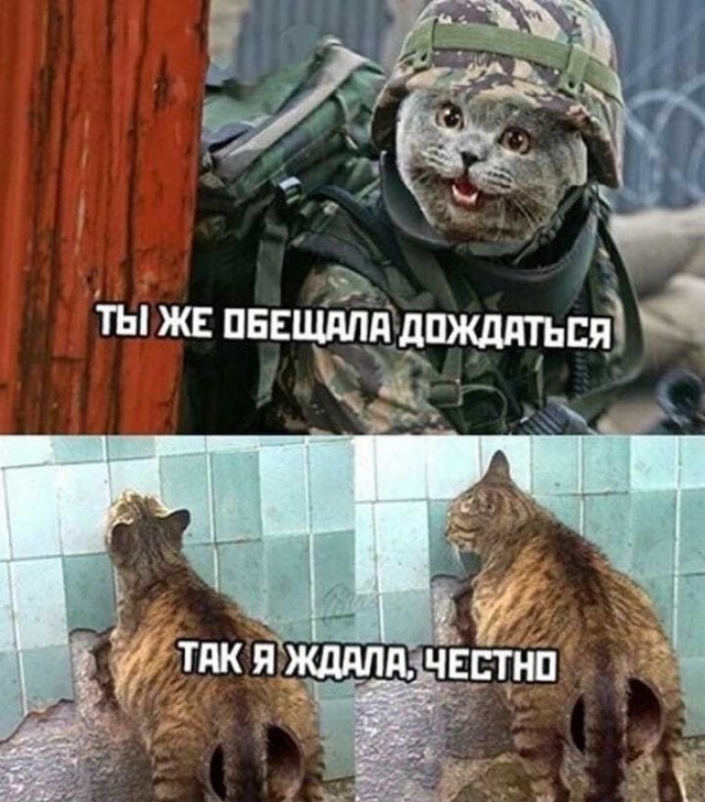 Так себе картинки 18.06.20