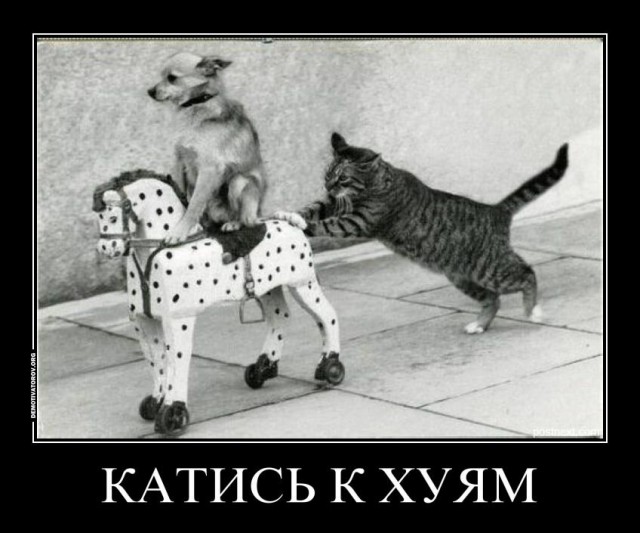 Хабаровцы, расходитесь!