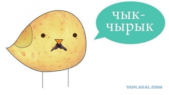 Это "КОКОС", детка!