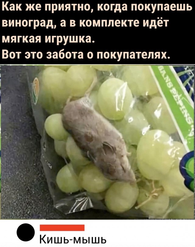 Кретинизмы из ЛМ и ЛЩ 22.02.21