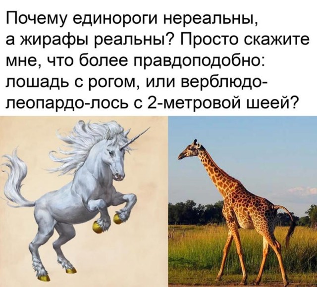 Вне закона: 6 организмов, которые не должны существовать