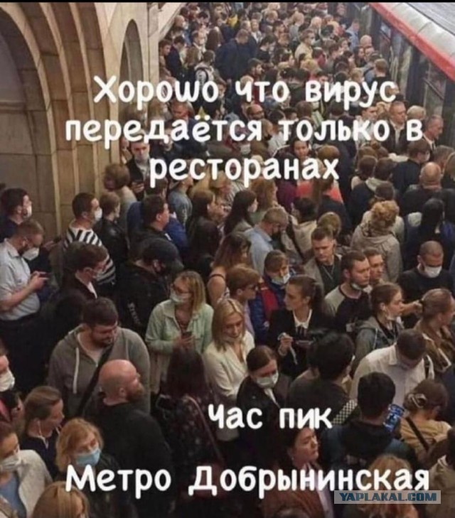 С..ки непривитые - 2