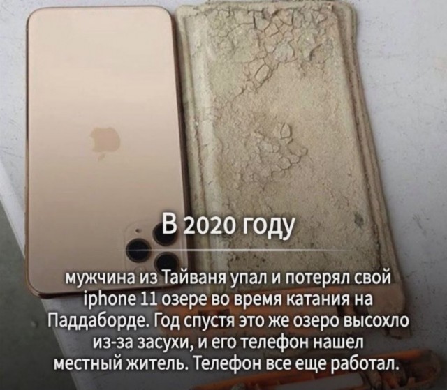 Картинки и мемы для настроения 04.08.2021