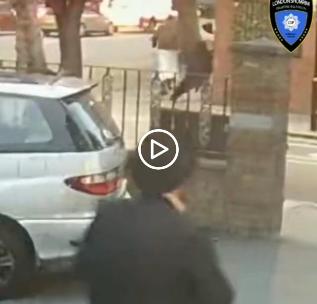 Атака на иудея в лондонском районе Стэмфорд Хилл попала на видео