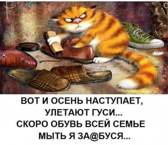 Юмор в картинках 4.09.21