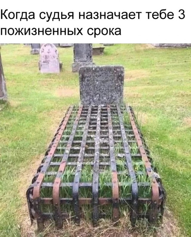 Весёлый полтишок 30.10