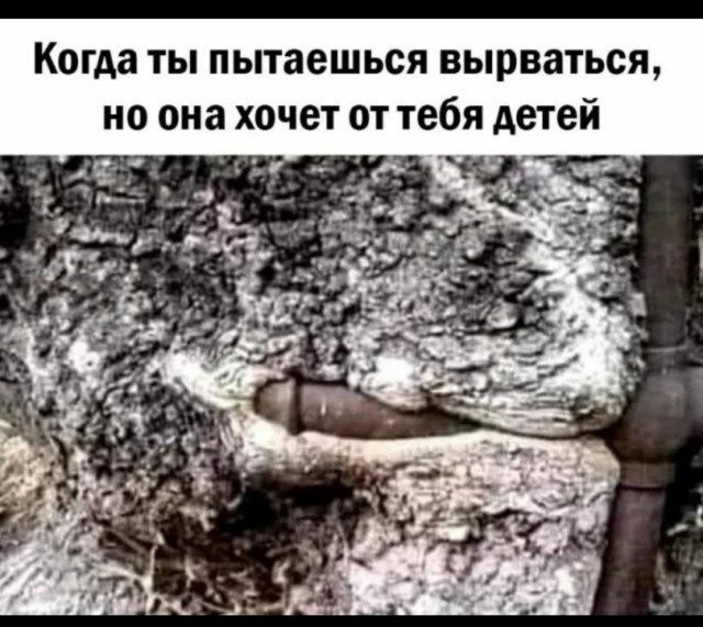 Утренняя подборка картинок и мемов - 6