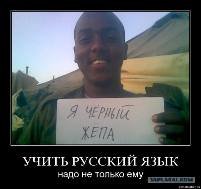 Они читать не умеют