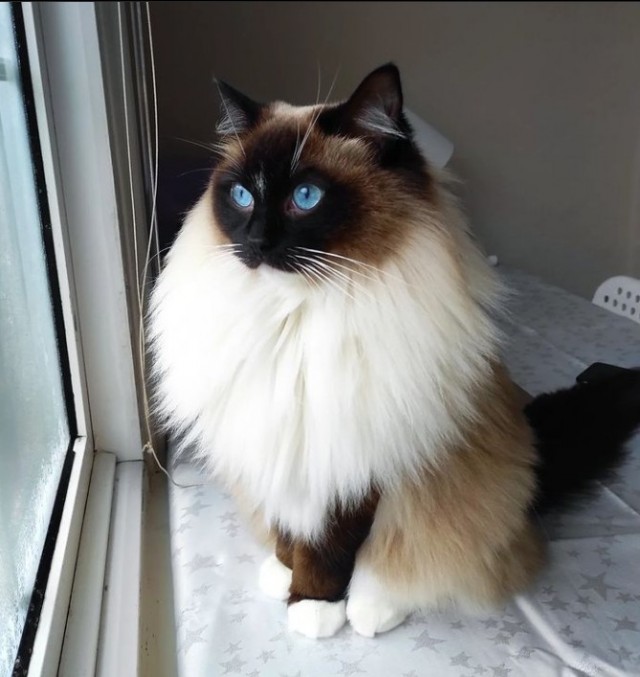 Котовторниковское