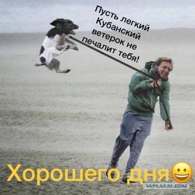 Лёгкий новороссийский бриз
