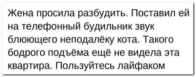 Забавные комментарии из социальных сетей (30.05.22)