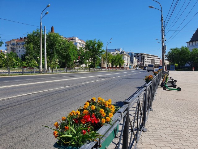 Астрахань – город «мёртвых» собак
