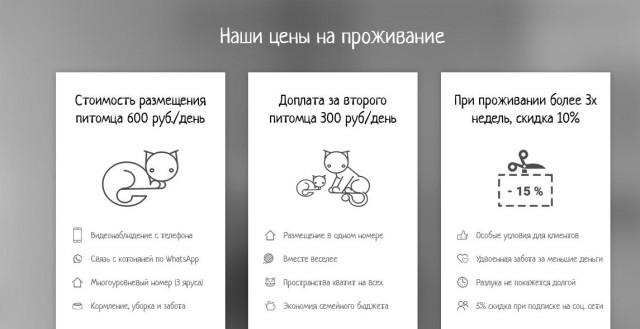 Нижегородец выкинул двух кошек рядом с приютом, потому что там отказали взять их на передержку