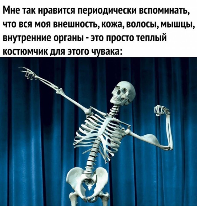Баянисто-небаянистый юмор 1.08.22