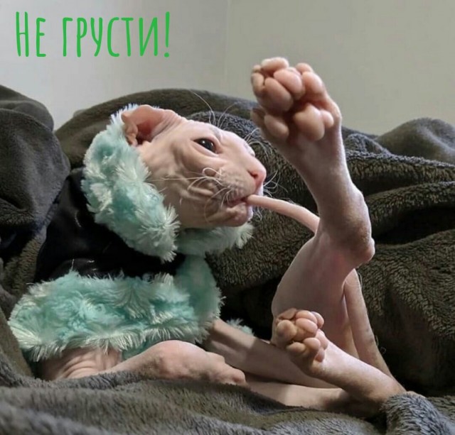 Так себе картинки 20.09.22