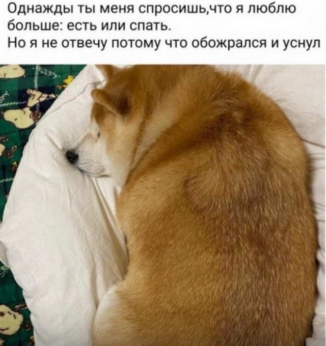 Картинки и мемы. Выходные близко...