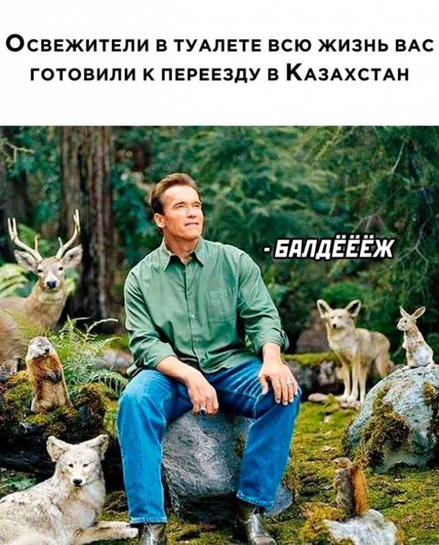 Картинки и мемы для настроения - 119