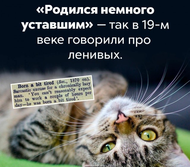Факты. Просто факты 3