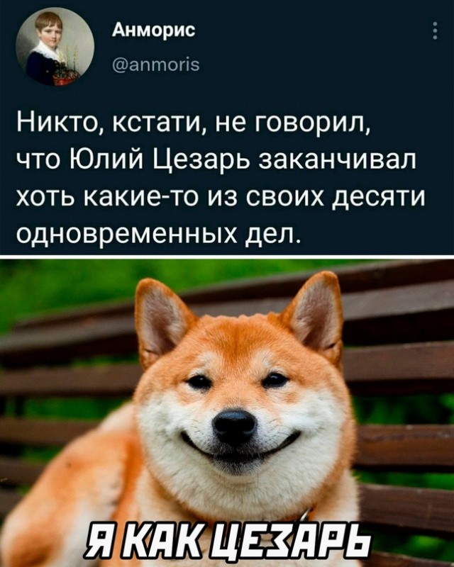 Картинки и мемы, всем хороших выходных
