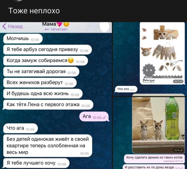 Почему женщины влюбляются в плохих парней, а выбирают хороших: ученые дали ответ