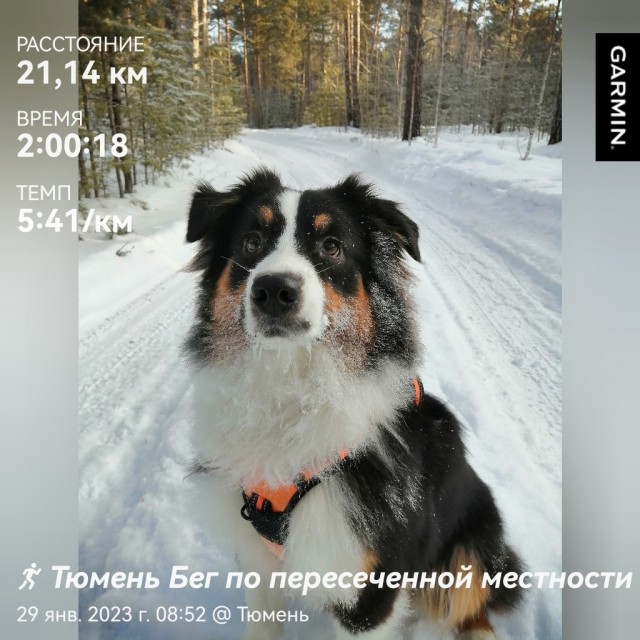 Собакочетверг 02.03.2023