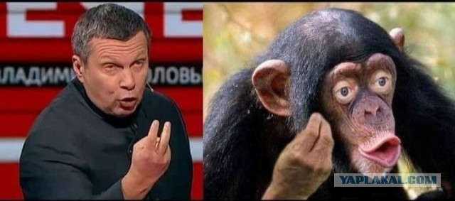 Это очень опасная тенденция