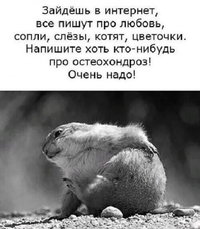 Весёлый полтишок 30.03.23