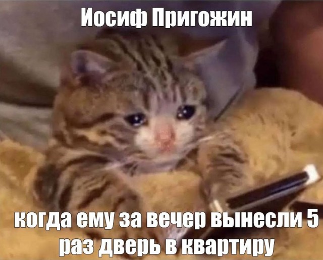 Немного мемов на злобу дня