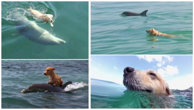 Смешал, но не взбалтывал: 12.08.23