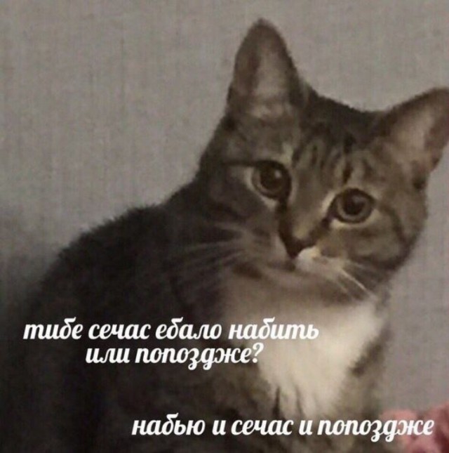 Всего понемногу. От 24.08.2023