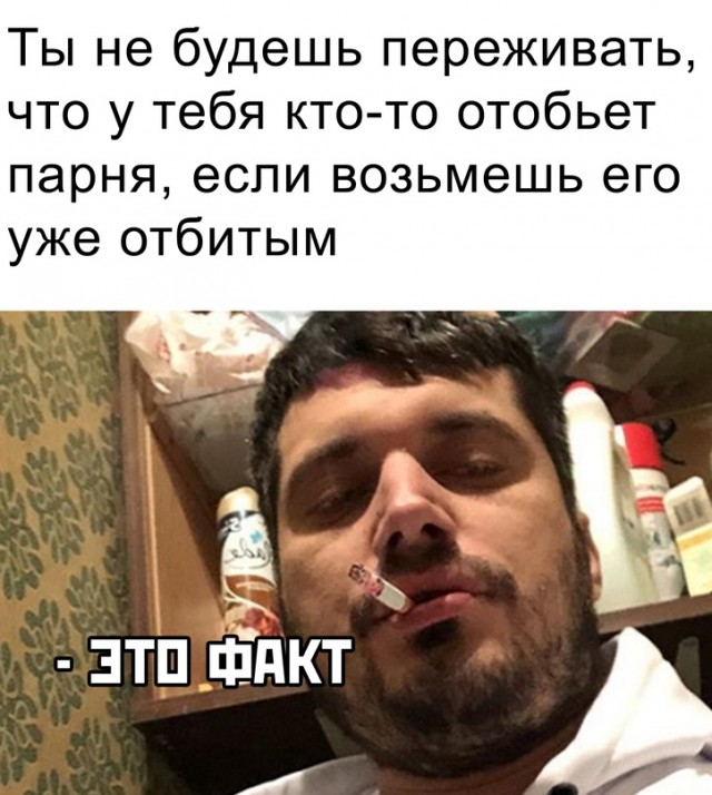 Весёлый полтишок 08.09.23