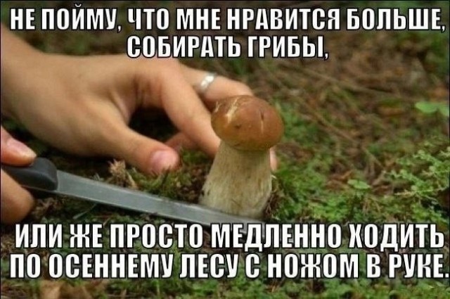 Так себе картинки 20.10.23