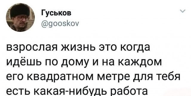 Так себе картинки 19.12.23