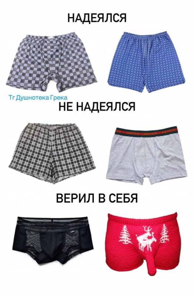 Котики, панки и дестрой