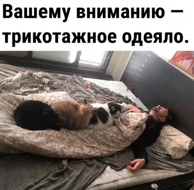 Нуштош 02.02.2024