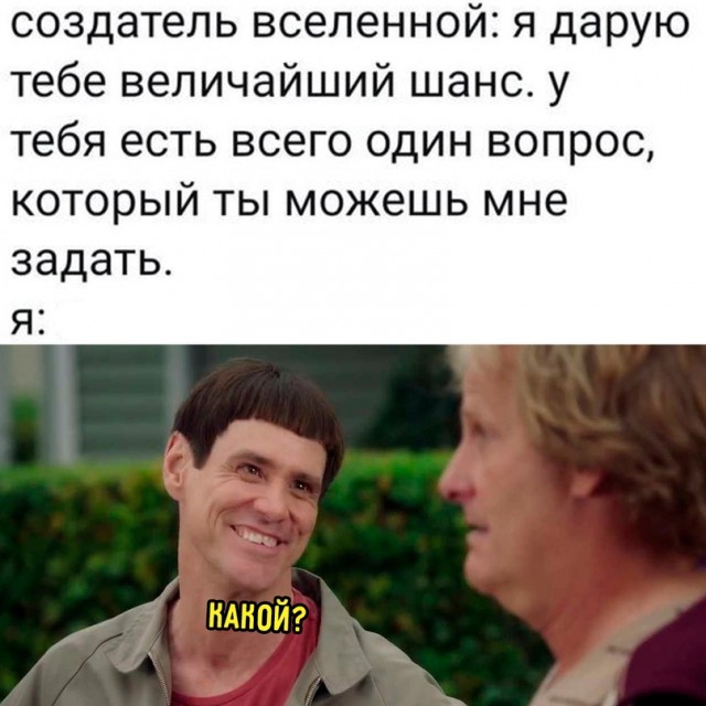Весёлый полтишок 05.05.24