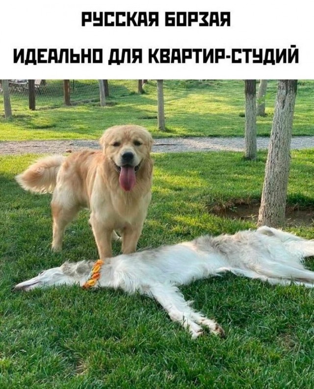 Так себе картинки 23.05.24