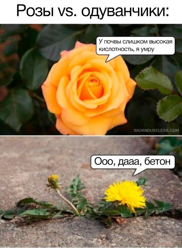 Всего понемногу. От 31.05.2024