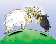 Два барана в Бирюлево
