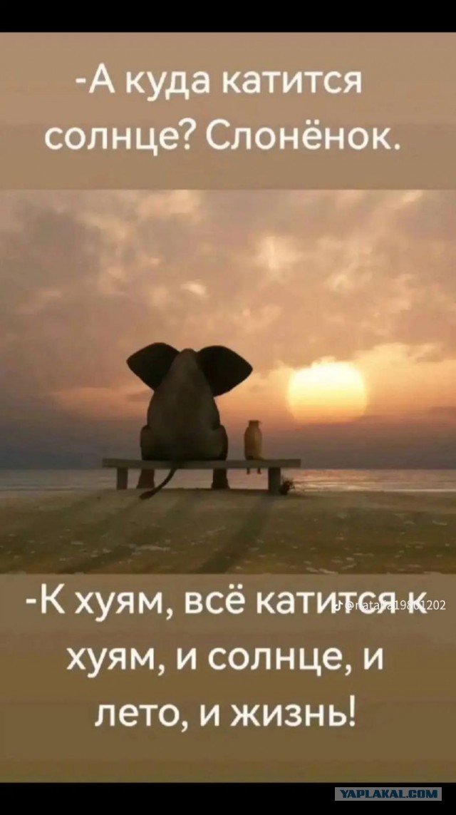Последний день лета! Как он проходит у вас?