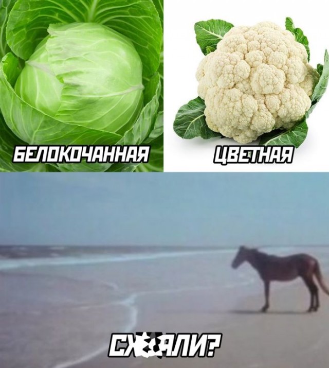 Веселые картинки к понедельнику (23.09)