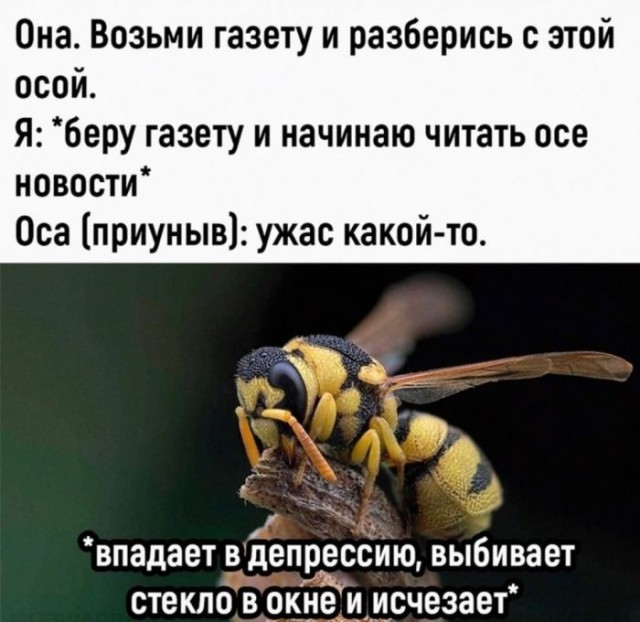 Веселые картинки к маленькой пятнице