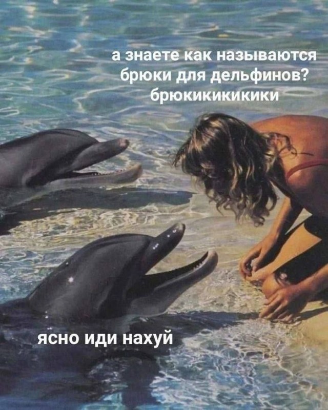 Веселые картинки к понедельнику (21.10)